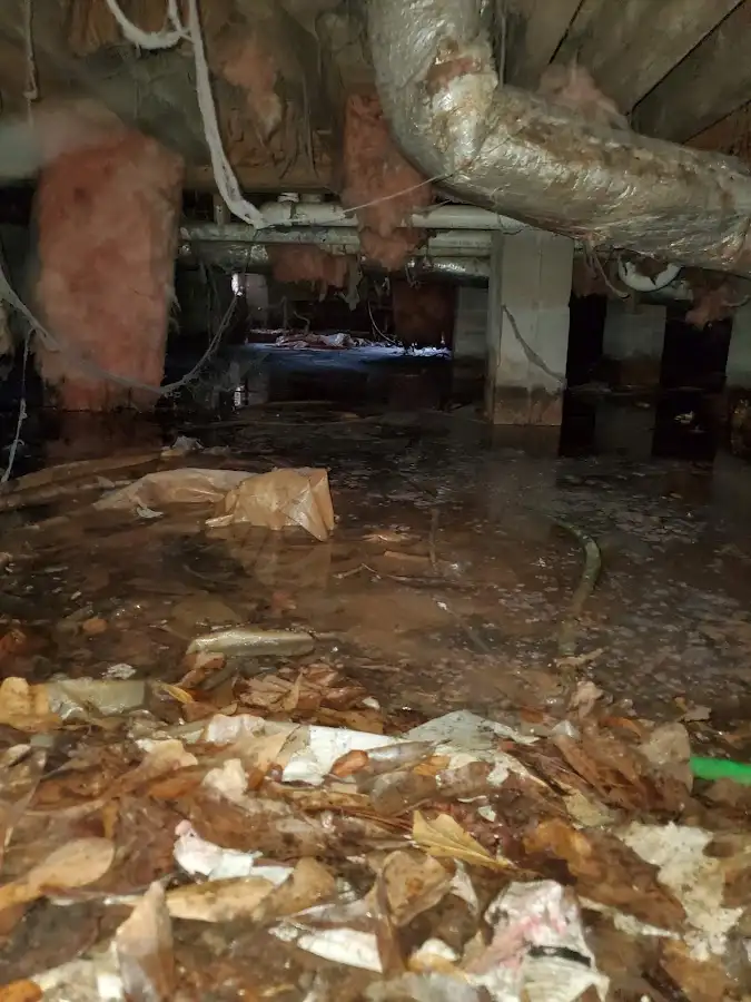 Crawl space flood assessment for Leak Detection & Repair in Hudson